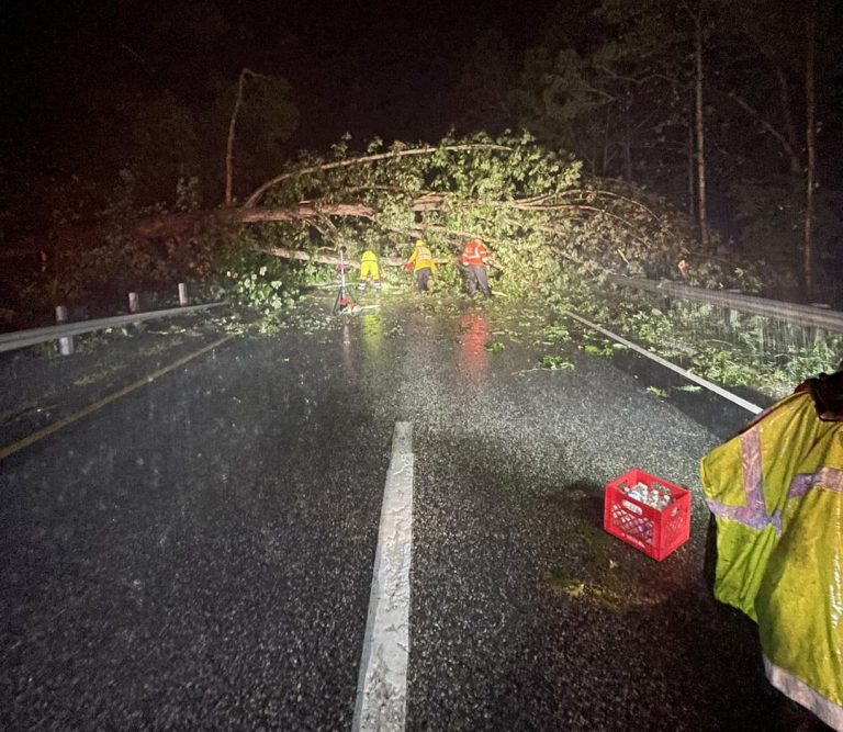 Heavy Rains Close Schools, Washout Roads & Bring Down Trees Again