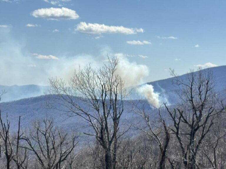 News Bulletin : (Video) Large Wildfire Now Burning In Afton Near Blue Ridge Parkway (Updated 9:57 PM)