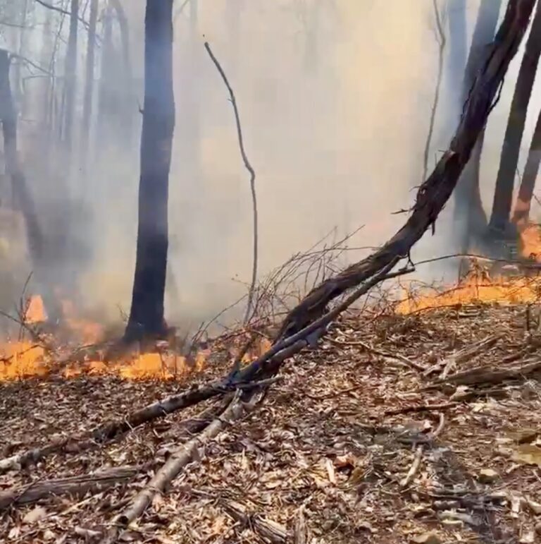 Afton : Wildfire Under Control : (Updated 4:45 PM) – Video