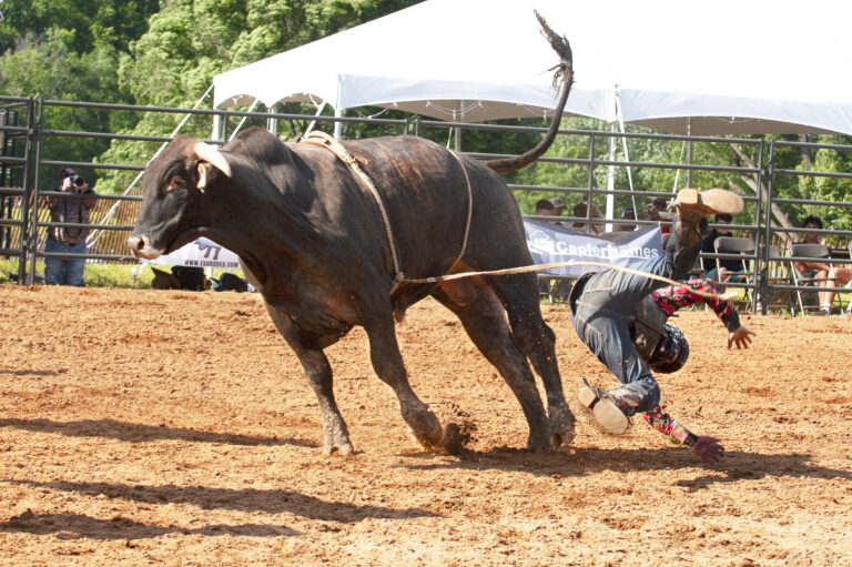 Nelson : Perfect Weather For Rockfish River Rodeo This Past Weekend