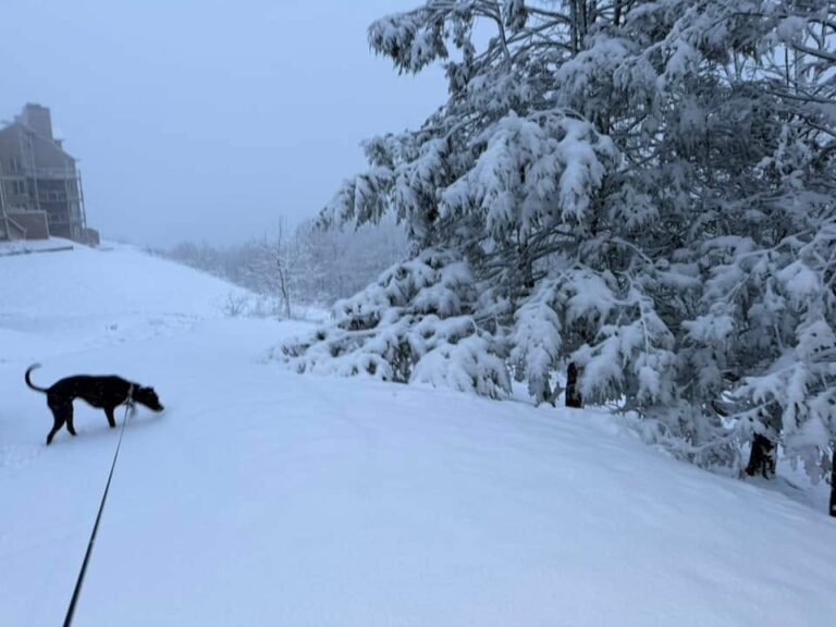 Winter Snow Hits Mountains Of Central Virginia Blue Ridge (Photos)