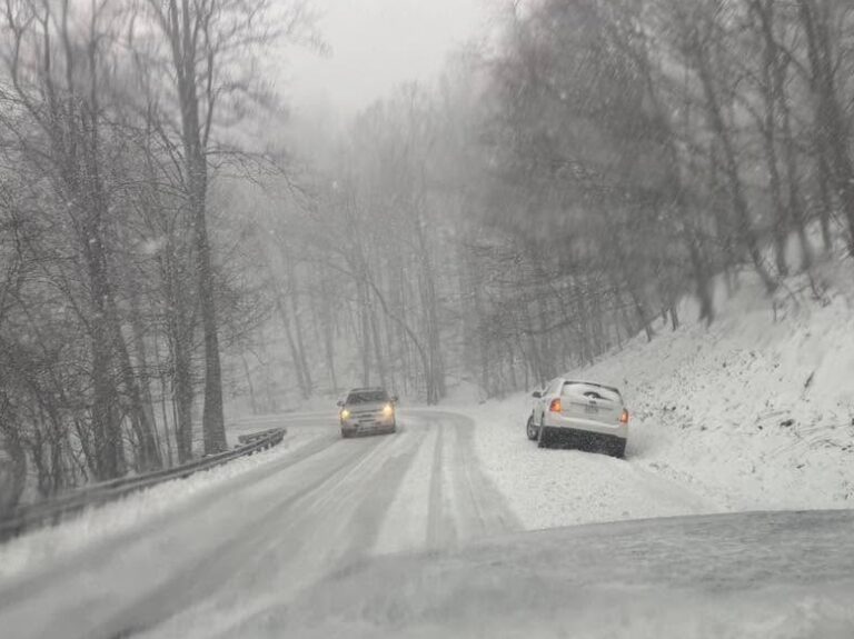 After Crazy Early March Snow  – Life Returning To Normal