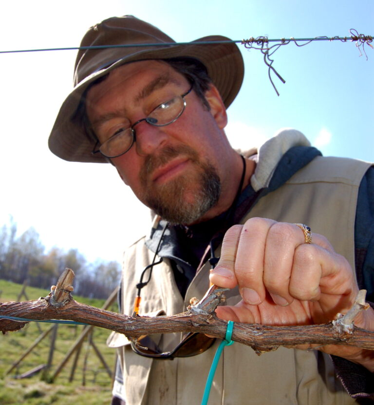 Area Vineyard & Orchard Owners Assessing Damage From Recent Freeze
