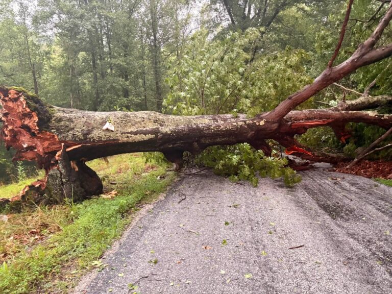 Severe Thunderstorms Move Across Area On 4th of July Afternoon